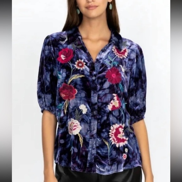 NWT Johnny Was Junia Velvet Lisbon Blouse in Multi Size Small Silk Blend - Picture 1 of 14